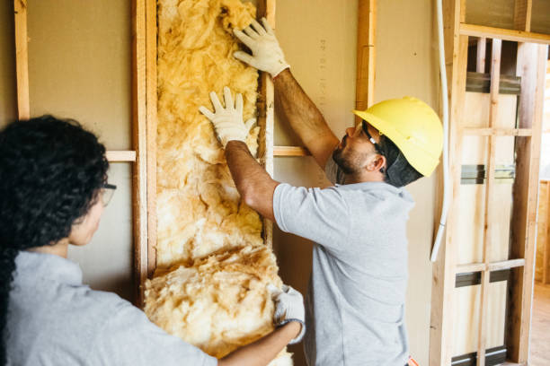 Best Attic Insulation Installation  in Saucier, MS