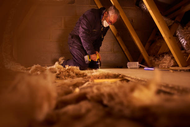 Best Insulation Replacement Services  in Saucier, MS