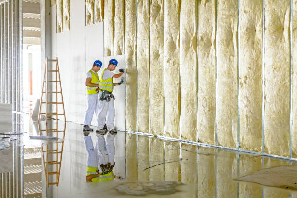 Best Professional Insulation Contractor  in Saucier, MS